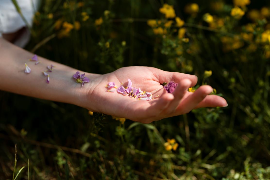 ‘Florais de Minas’: Tudo o que você precisa saber sobre a terapia floral