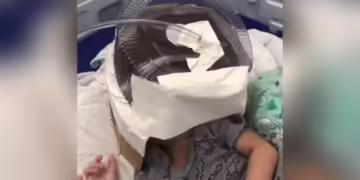 embalagem de bolo