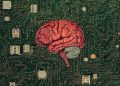 chip cerebral neuralink