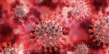Nova pademia? Coronavírus com potencial de se espalhar em humanos é recém-descoberto em morcegos na China