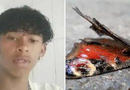 Adolescente morre após injetar líquido de borboleta na perna