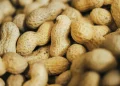 Você consome amendoim? Saiba o risco que poucos conhecem
