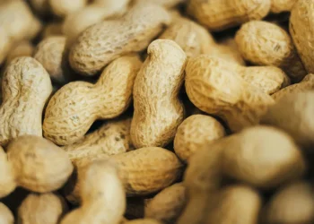 Você consome amendoim? Saiba o risco que poucos conhecem