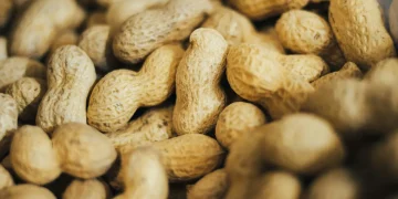 Você consome amendoim? Saiba o risco que poucos conhecem