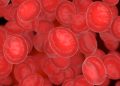 Conheça a melhor maneira de limpar o sangue e desintoxicar o corpo de verdade