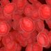 Conheça a melhor maneira de limpar o sangue e desintoxicar o corpo de verdade