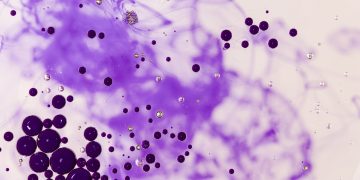 Toxoplasma gondii