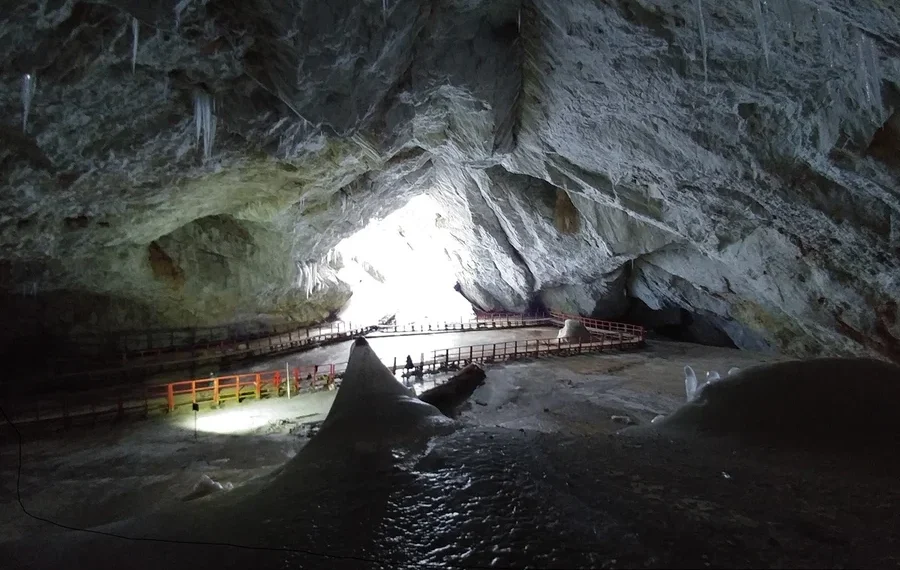 bactéria em caverna