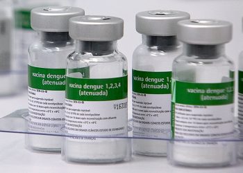 vacina dengue