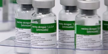 vacina dengue