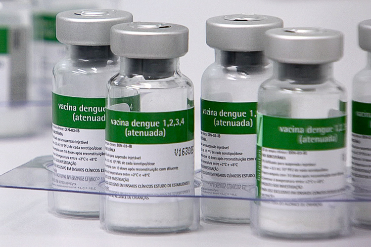 vacina dengue