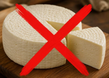 anvisa queijo