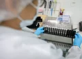 Anvisa autoriza teste em humanos de vacina 100% brasileira para esta doença
